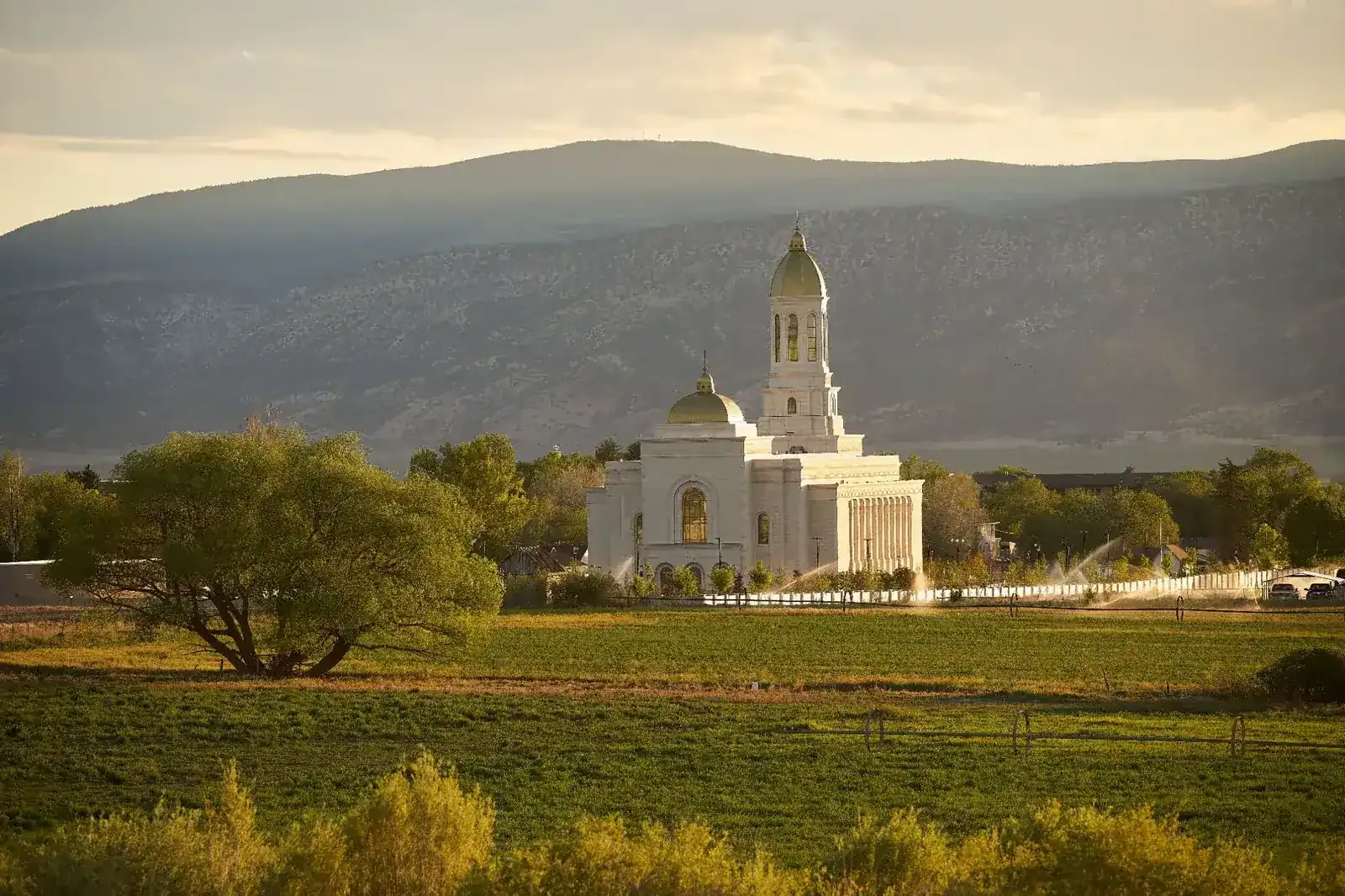 The temple in warm evening light, with a field and a large tree in the foreground and mountains behind it