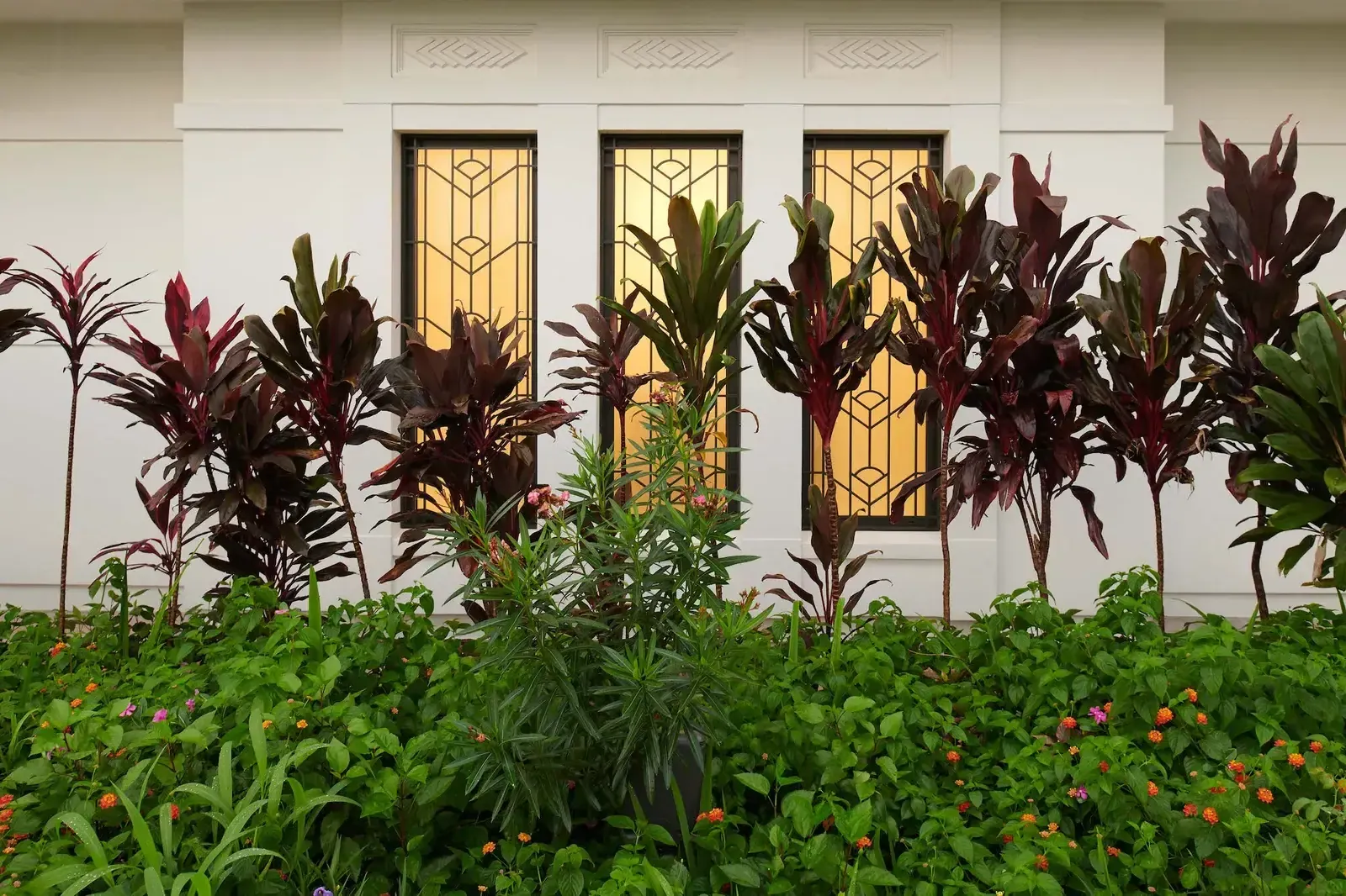 Tall amber art-glass windows with a geometric pattern on the white exterior wall, behind red-leaved plants and green shrubs