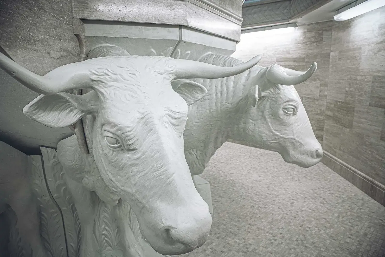 Close view of two carved white oxen figures with long horns.