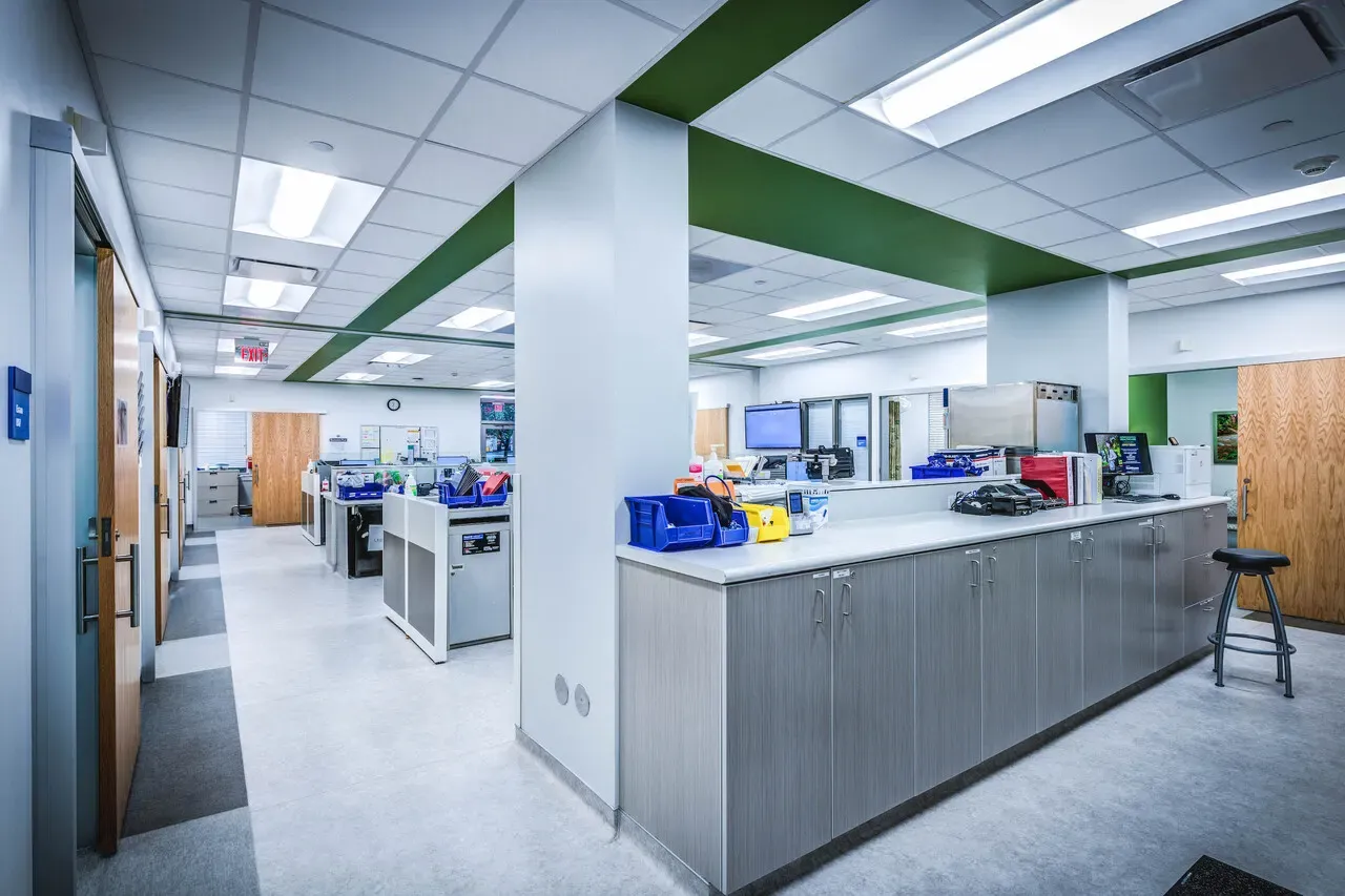 Clinic work area with gray cabinets, supply bins and a green accent soffit overhead.
