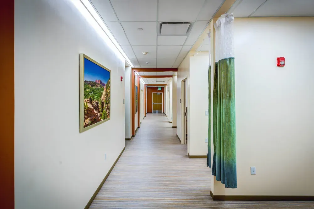 Corridor with a landscape painting, a wood-look floor and a green privacy curtain